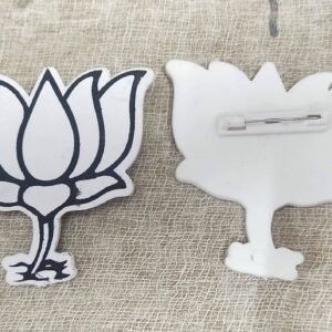 Election Budge